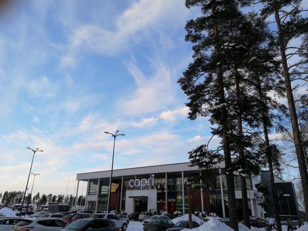 Marina Holiday Honka Village Apartments イマトラ エクステリア 写真